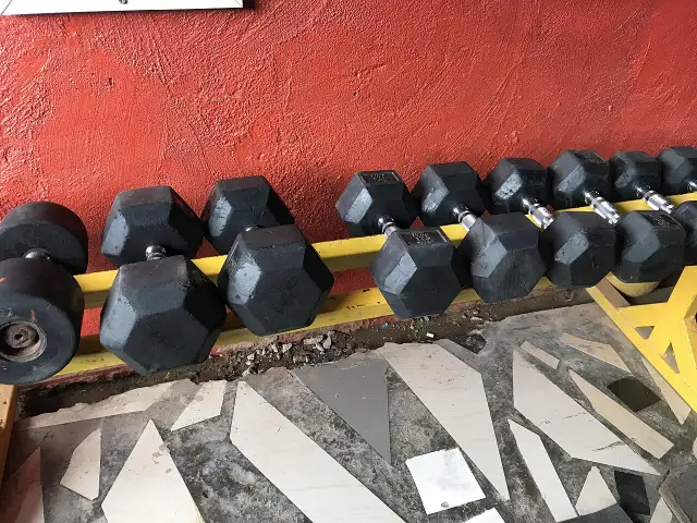 Halteres arrumados no suporte